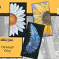 August 18th - Blue Springs Brewing - Orange City - DIY Paint & Sip - Flowers & Feathers