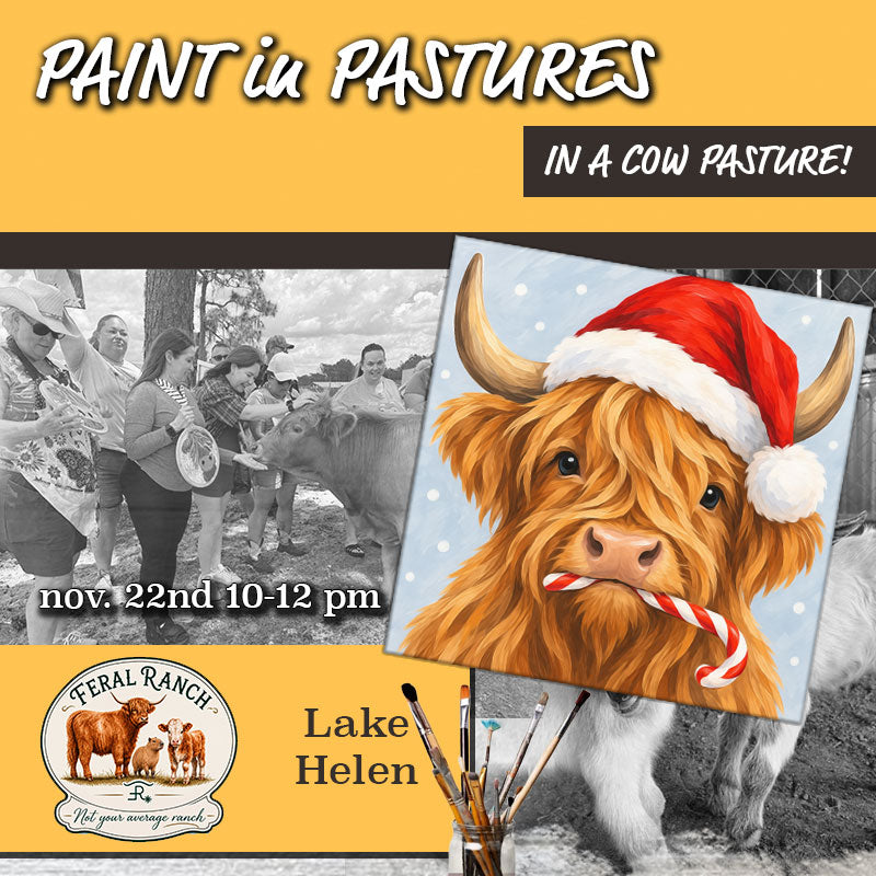 November 22nd - Feral Ranch - Lake Helen - Paint & Sip with Highland Cows - Santa Fluffy Cow