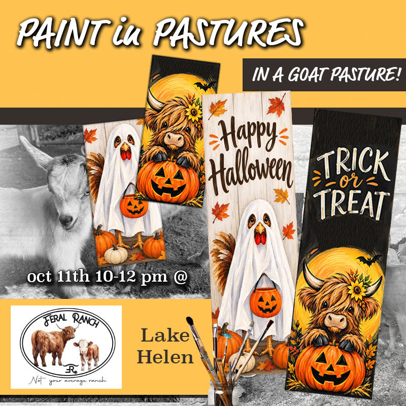 October 11th - Feral Ranch - Lake Helen - Paint & Sip with Highland Cows - Chicken Ghosts and Highland Babies