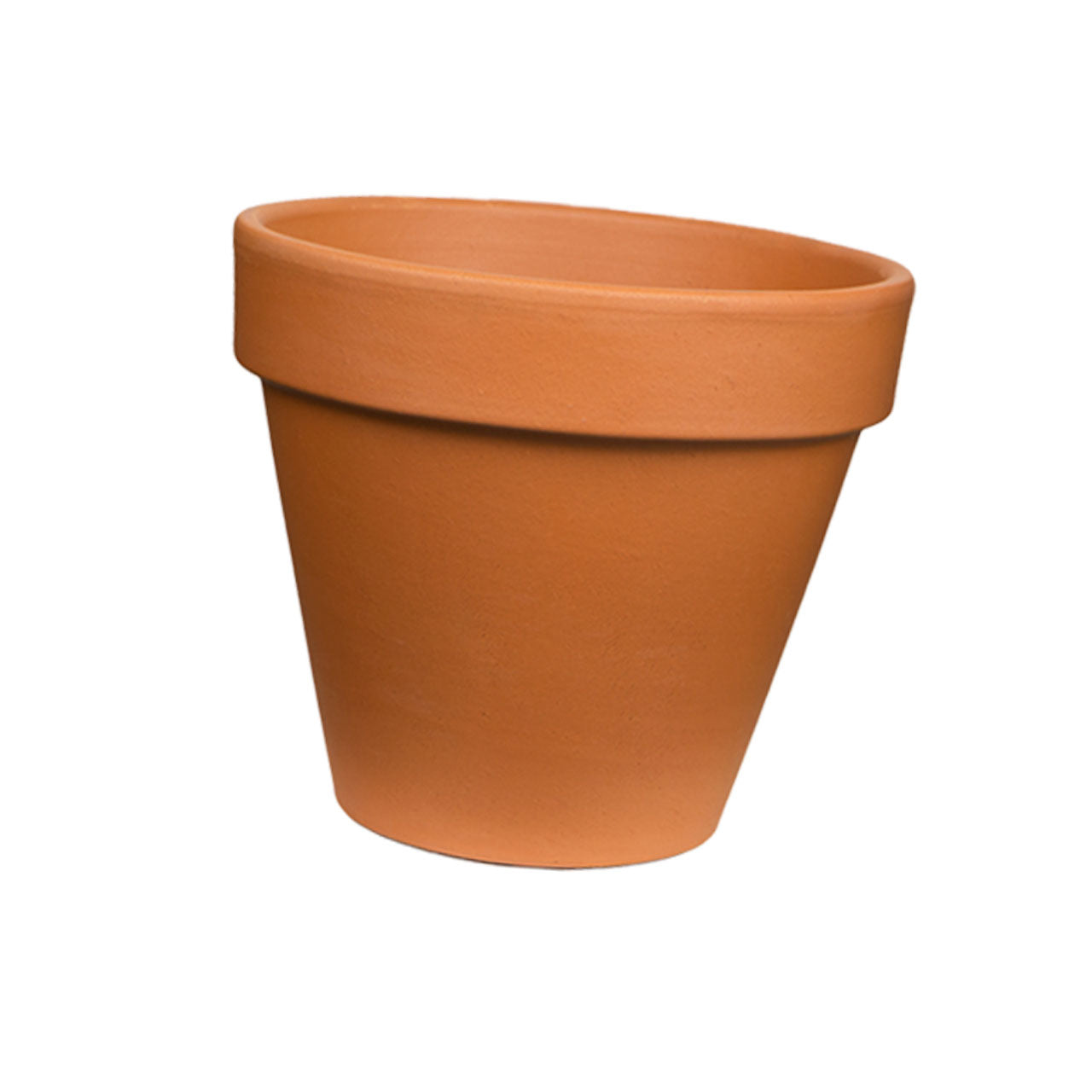 August 12th - Throwbacks - Sanford - DIY Paint & Sip - Paint a Pot & Fill it with Succulents