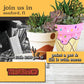 August 12th - Throwbacks - Sanford - DIY Paint & Sip - Paint a Pot & Fill it with Succulents
