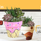 August 12th - Throwbacks - Sanford - DIY Paint & Sip - Paint a Pot & Fill it with Succulents