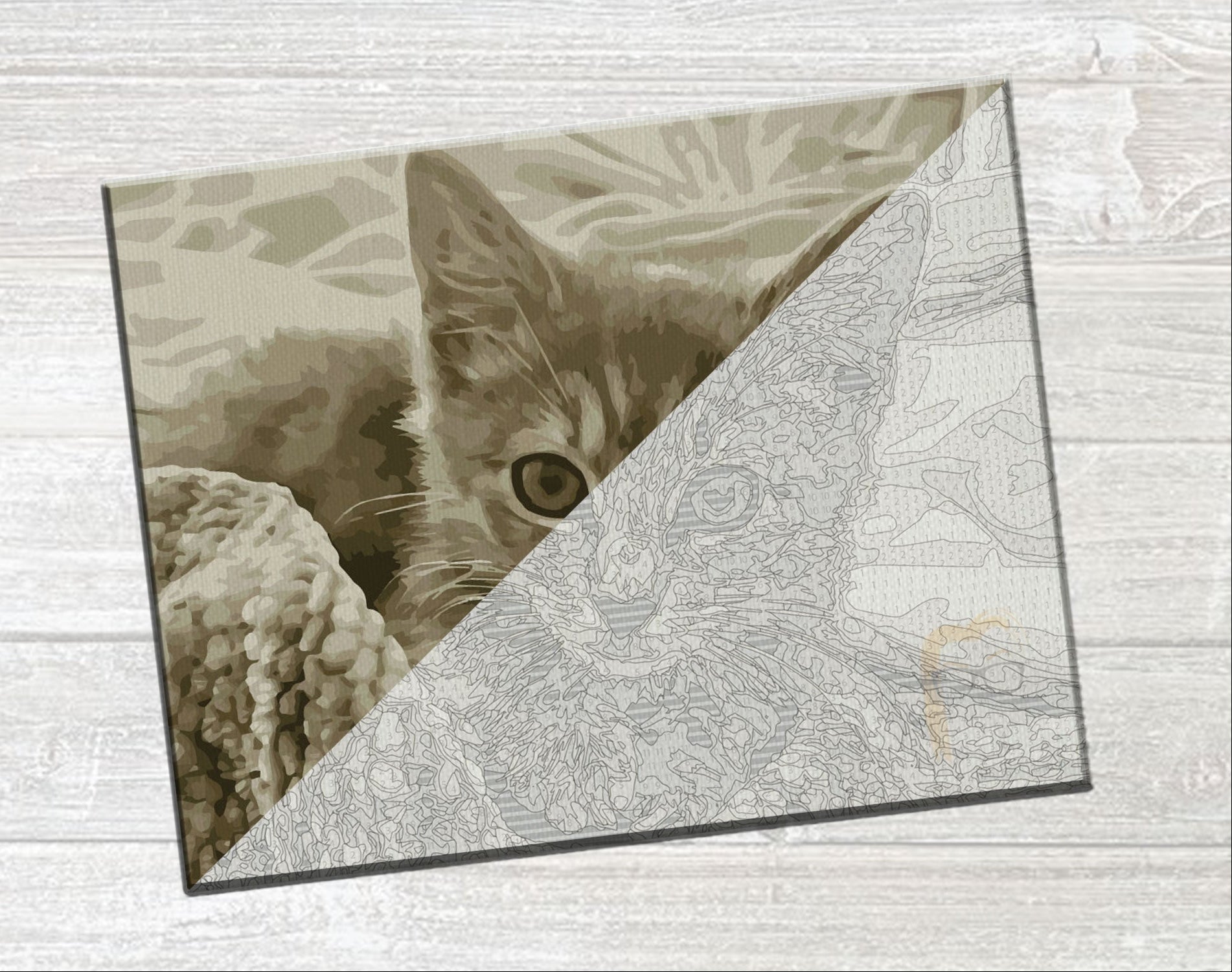 A square canvas art print featuring a sepia-toned kitten peeking from behind a diagonal line of fine line art, displayed on a light gray wood-textured background.